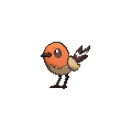 Pokémon #661 6G