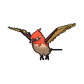 Pokémon #662 6G
