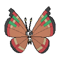 Pokémon #666ar 6G