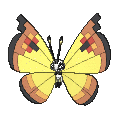 Pokémon #666co 6G