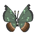 Pokémon #666ju 6G