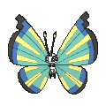 Pokémon #666ma 6G