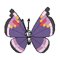 Pokémon #666mo 6G