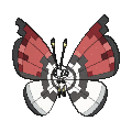 Pokémon #666po 6G