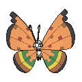 Pokémon #666se 6G