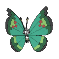 Pokémon #666ve 6G