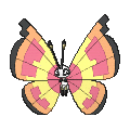 Pokémon #666ze 6G