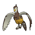 Pokémon #521f 7G