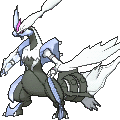 Pokémon #646b 7G
