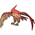 Pokémon #663 7G