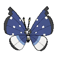 Pokémon #666ba 7G