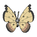 Pokémon #666sa 7G