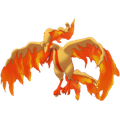 Pokémon #146ga 8G