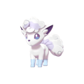 Pokémon #37al 8G