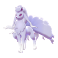 Pokémon #38al 8G