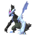 Pokémon #646n 8G
