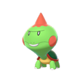 Pokémon #833 8G