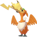 Pokémon #845pi 8G