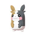 Pokémon #877 8G