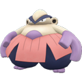 Pokémon #297 9G