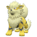 Pokémon #59 9G