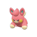 Pokémon #921 9G