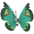 Pokémon #666v GO