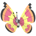 Pokémon #666z GO