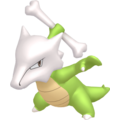 Pokémon #105