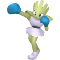 Pokémon #107