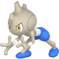 Pokémon #236