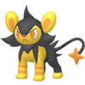 Pokémon #404