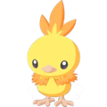 Pokémon #255 sleep