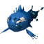 Pokémon #746b