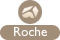 Type roche MX