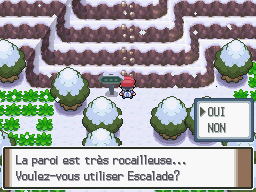 Soluce Pokémon Platine - 12ème partie : Après la neige vient le verglas ! -  Eternia