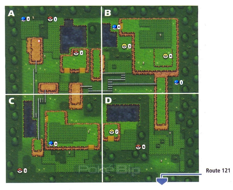 parc safari pokemon rubis