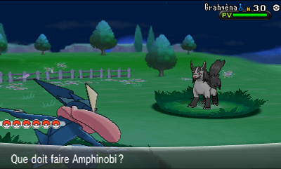 pokemon x code ami safari