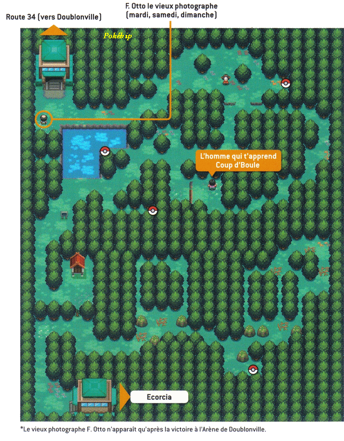 Fiche de Bois aux Chênes Région de Johto (Or Heartgold & Argent Soulsilver)