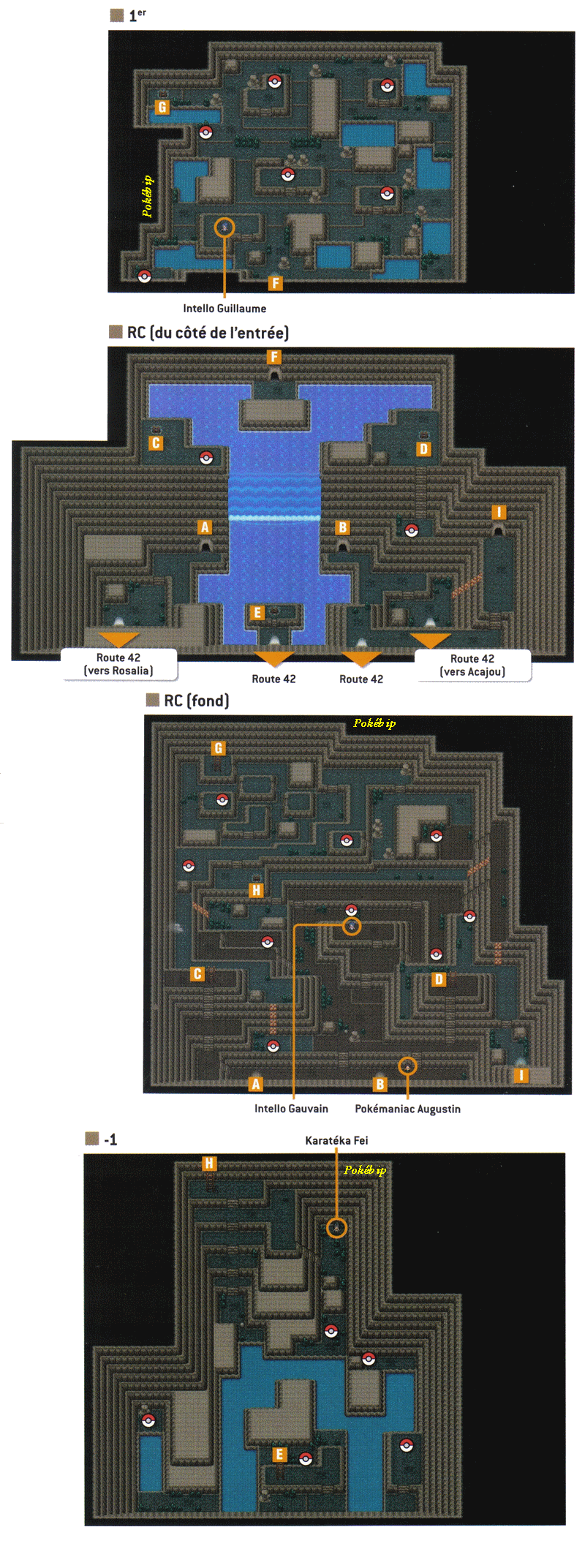 page jeuxvideo pokemon coeur or heartgold ame argent soulsilver guide plet johto kanto mont creuset