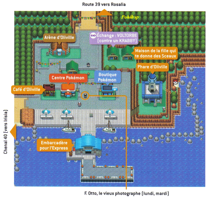 Pokémon Or HeartGold et Argent SoulSilver > Guide des Lieux > Oliville