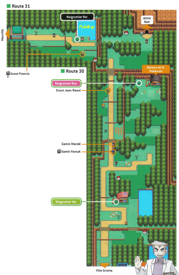 Pokémon Or HeartGold et Argent SoulSilver > Guide des Lieux > Route 30