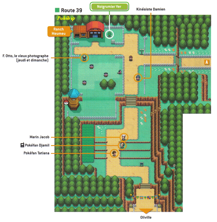 Pokémon Or HeartGold et Argent SoulSilver > Guide des Lieux > Route 39 
