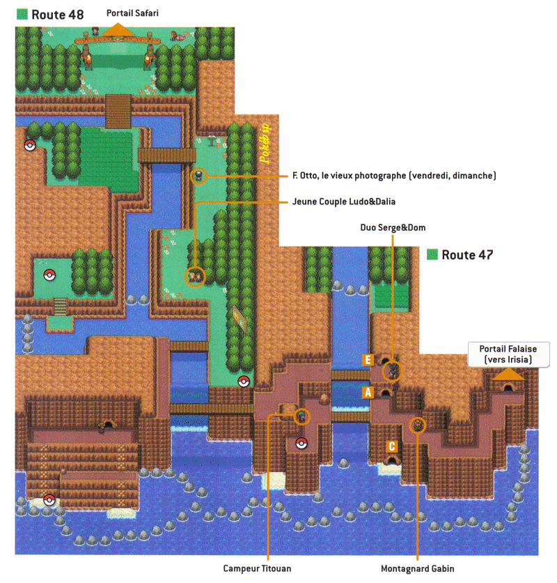 Pokémon Or HeartGold et Argent SoulSilver > Guide des Lieux > Grotte 