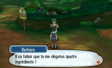 Pokemon ~ Tour_des_iles_4