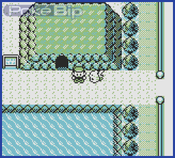 pokemon jaune bicyclette echange