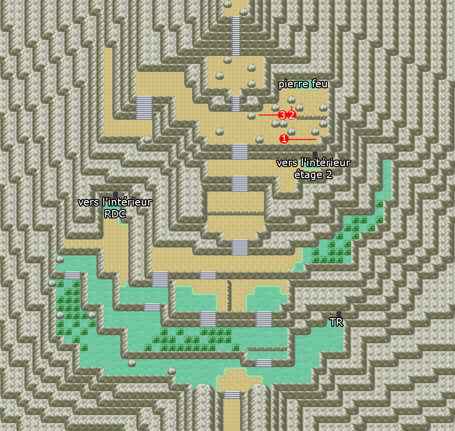 Pokémon Rouge Feu Et Vert Feuille Guide Des Lieux île 1