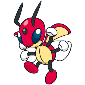 Image de Coxyclaque