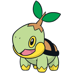 Image de Tortipouss