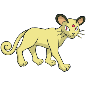 Image de Persian